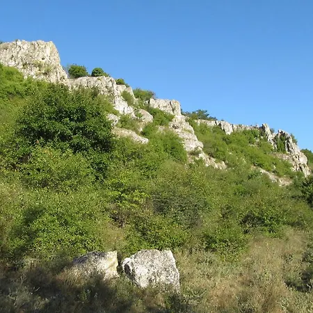 Nature Travel Dobricz